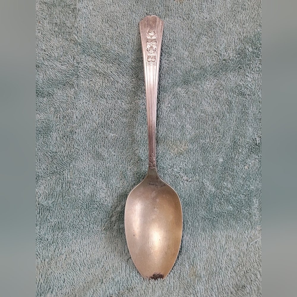Vintage WM A Rogers A1 Plus Oneida LTD Meadowbrook Condiment Spoon 8 inches